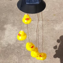 LED����С�S���ɐ�¶�I�����b[����ͯ�������òʟ����������