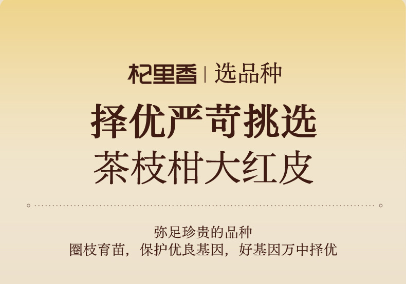 Aged Dried Tangerine Peel Chenpi 50g Jar Guangdong Xinhui Style for Tea and Soup quality and texture