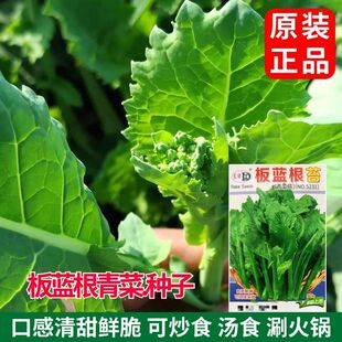 �S�����l���{�������N���ļ����N�̨����ͥԺ�Nֲ�߲���N��