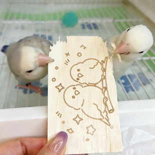 �W�^��ҧľƬ�␞�����B�����Ȼ��ɳľ�pľĥ��ɻ�Ƥ���Pĵ��