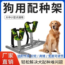 ݔҺ����Ȯ����С�͹̶��ܹ����Ӽ���NȮ����N������N��ᘽ�ë