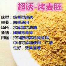 ɢ�b���T�泴С����ѿ�����T��������~�D�ϻ��A�D�����С����ѿ