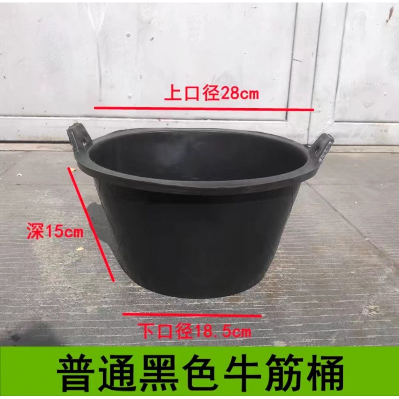 깊이 15cm 일반 쇠고기 힘줄 통