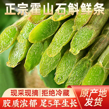 ���r��ɽ�FƤʯ���r�l ���|���z�|���l�S��ֱ�N��Ȼ�ݱ��ЙCș��