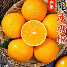 ���ں�����ꖱ��ǳ�10�����rˮ�������������ք�������ȴ�����]
