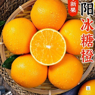 ���ں�����ꖱ��ǳ�10�����rˮ�������������ք�������ȴ�����]