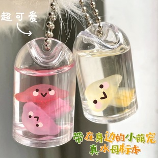 Jellyfish Pet Specimen Key Chain Buckle Haiyue Papua Inverted Snowflake Red Moon Jellyfish Specimen Real Jellyfish Pendant