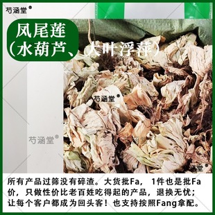 ˮJPβɏƼ Ƽ ˮɏ  V 500 ؛