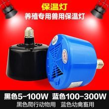 ���x���؟���ȡů���r���؟���������������ů�L�����Bֳ�����