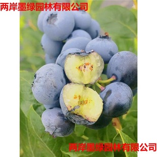 �W�᠖���F�{ݮ����������Ϸ���������ϸ߅��{ݮ�箔��Y��