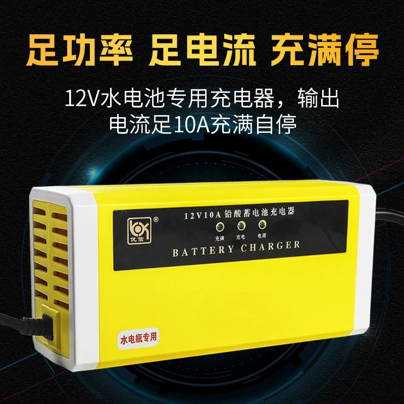 12 В электрический вилочный погрузчик зарядное устройство штабелер грузовик свинцово-кислотная водная батарея аккумулятор зарядный двигатель 10a производитель
