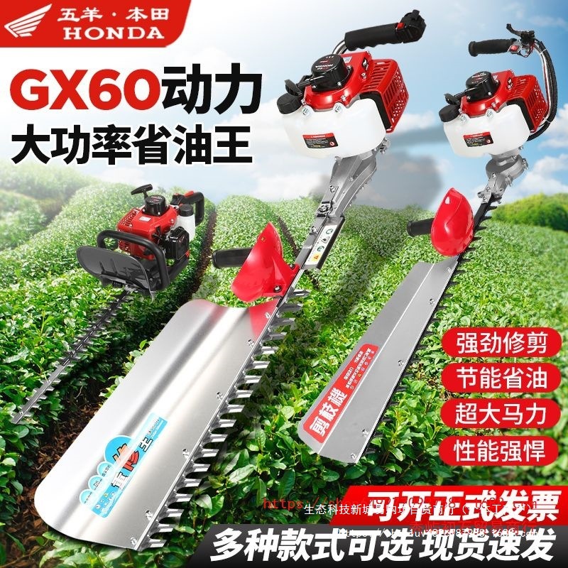 进口五羊本田汽油绿篱机茶叶茶树修茶机园林绿化修剪机重修采茶机