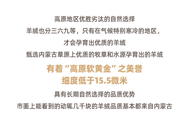 2024秋冬新款女式羊绒衫女式堆堆领高端纯色保暖亲肤彰显身材气质详情4