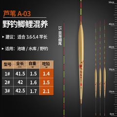 Fish float high sensitivity carp float tilapia special fish float bottom fishing light mouth short foot long body reed float 