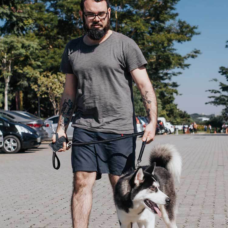 Dog Leash Image 8
