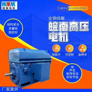 皖南电机马达YKK高效率高压电动机三相异步315kw355kw375kw厂家