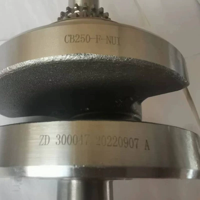 T4 Bosuer large-head engine – Crankshaft, camshaft