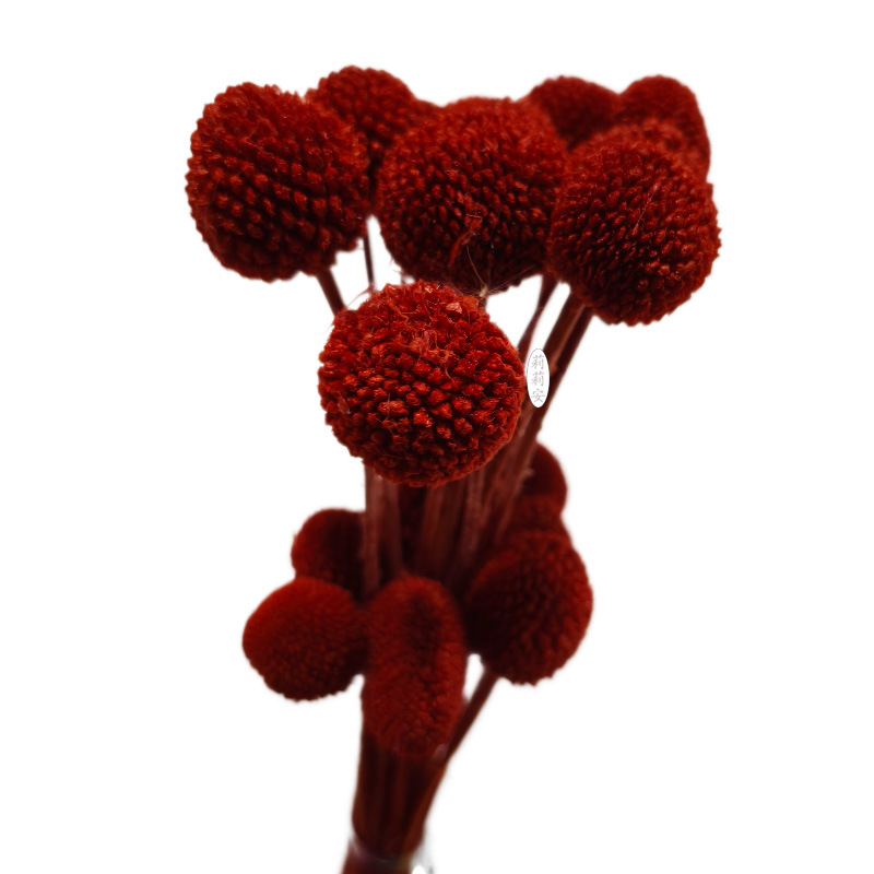 레드(20개/묶음)