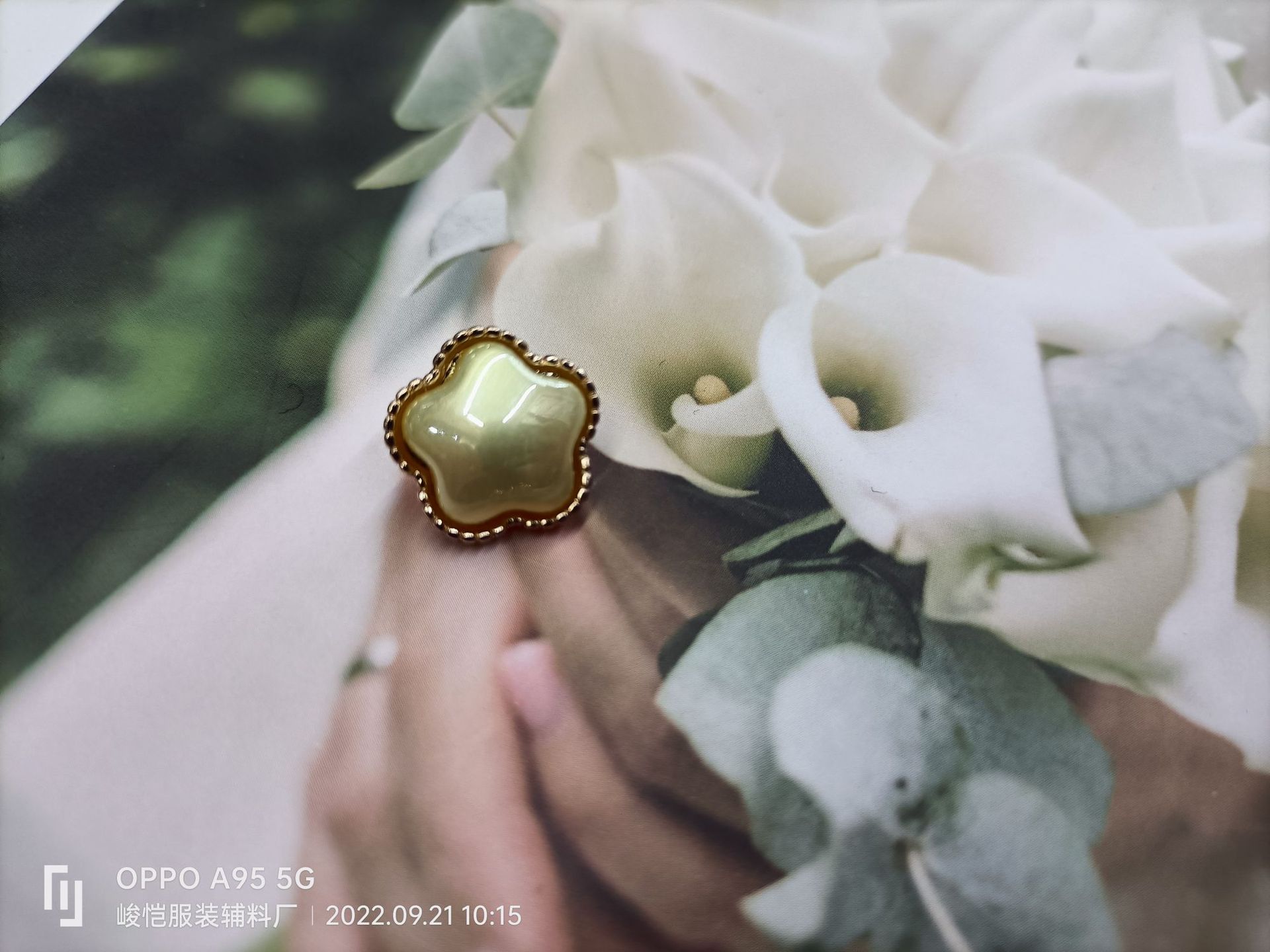 124b1ca805bda34bf8eba24bbdad3c