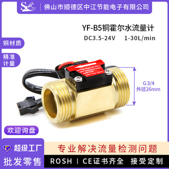 霍尔水流传感器6分黄铜热水器霍尔水流量计纯水机农田灌溉B5厂家