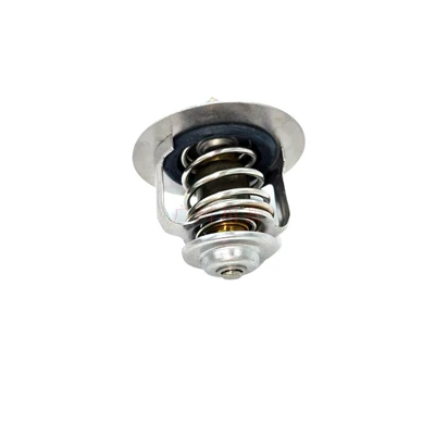 9091603120, Thermostat