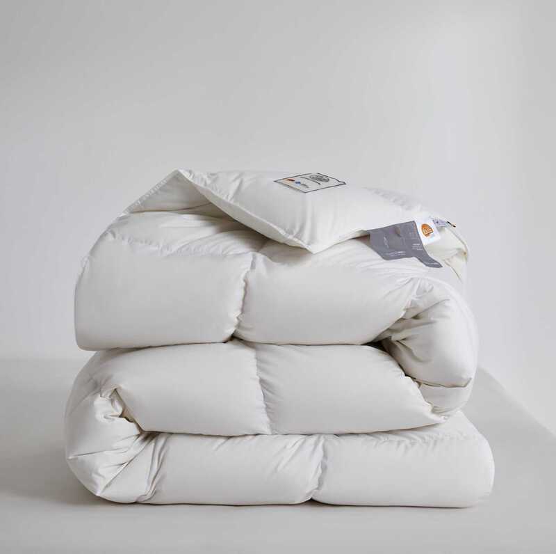 German water-repellent 90 white duck down quilt core winter quilt thickened mute warm single double spring and autumn quilt fabric soft skin-friendly