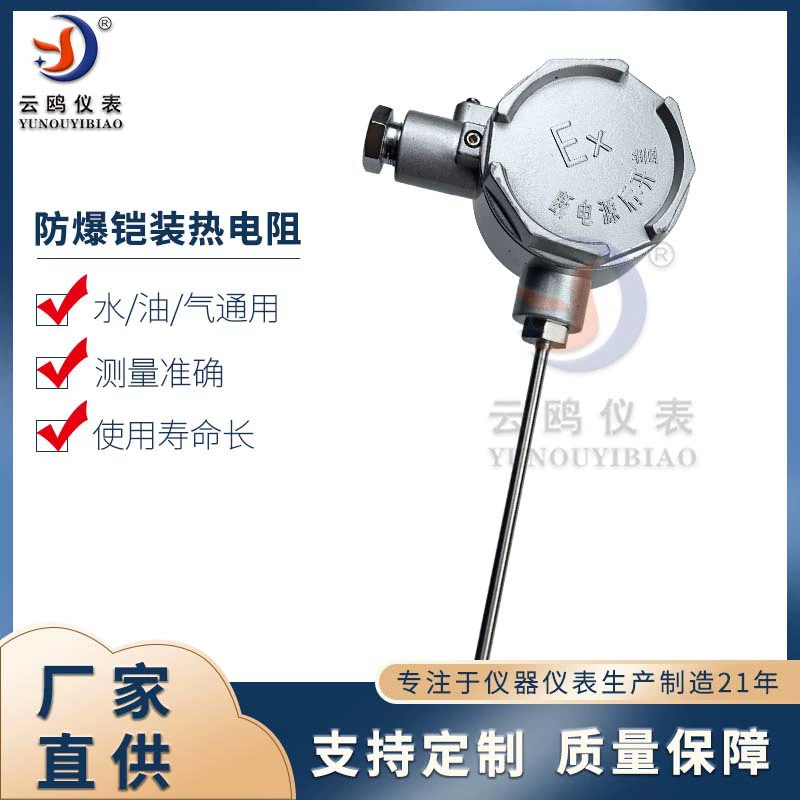 Взрывозащищенный бронированный тепловой резистор WZPK-145 температуры каталитической печи