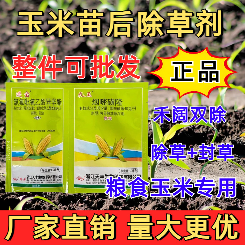 农药厂家供应礼玉玉米苗后除草剂杀草封地烟嘧磺隆批发拿货