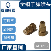 �r�Ç��F�����^�@�և�����{���F�����س��m�Bֳ��