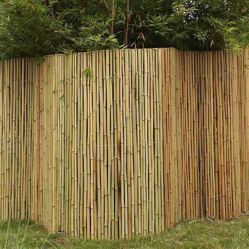 Outdoor Anti-Corrosion Bamboo Fence, Bamboo Poles, Bamboo Screens, Wall Fences, Outdoor Courtyard Partitions, Screens, Purple Bamboo Curtains, Bamboo Pole Factory Outdoor Anti-Corrosion Bamboo Fence, Bamboo Poles, Bamboo Screens, Wall Fences, Outdoor Courtyard Partitions, Screens, Purple Bamboo Curtains, Bamboo Pole Factory
