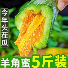 【爆款】山东羊角蜜甜瓜新鲜水果当季脆甜蜜瓜香瓜时令羊角脆整箱