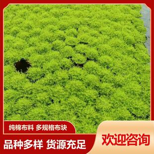 ���ݲݻ� �۠��m����� ���G�^�p�� �@�־G����