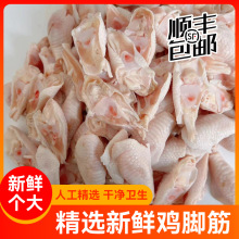 新鲜冷冻鸡脚筋生鲜生鸡脚筋商用批发鸡脚筋生鲜整箱批发餐饮散养