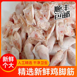 新鲜冷冻鸡脚筋生鲜生鸡脚筋商用批发鸡脚筋生鲜整箱批发餐饮散养
