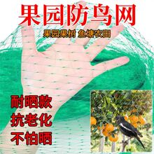 BW@ȫַoWѹW@÷BWrһ