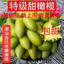 橄榄1甜果特甜鲜甜种水果金灶新鲜潮汕冰糖生吃橄榄青橄榄橄零食