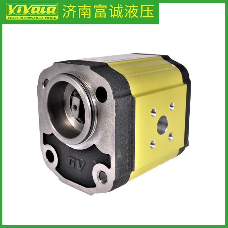 意大利VIVOIL齿轮泵X2P6321FSSA源头工厂维沃液压油泵