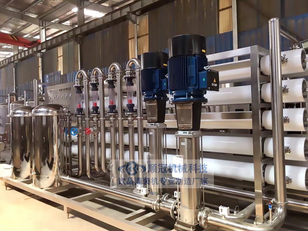 大型双级反渗透设备 二级反渗透纯水设备