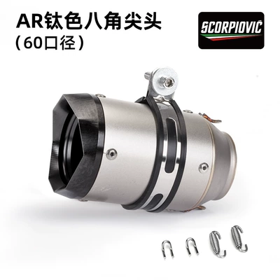 Motorcycle Kawasaki Z800 Zx6R Carbon, Motorcycle exhaust pipe - ar-titanium-color-octagonal-tip-60mm-diameter