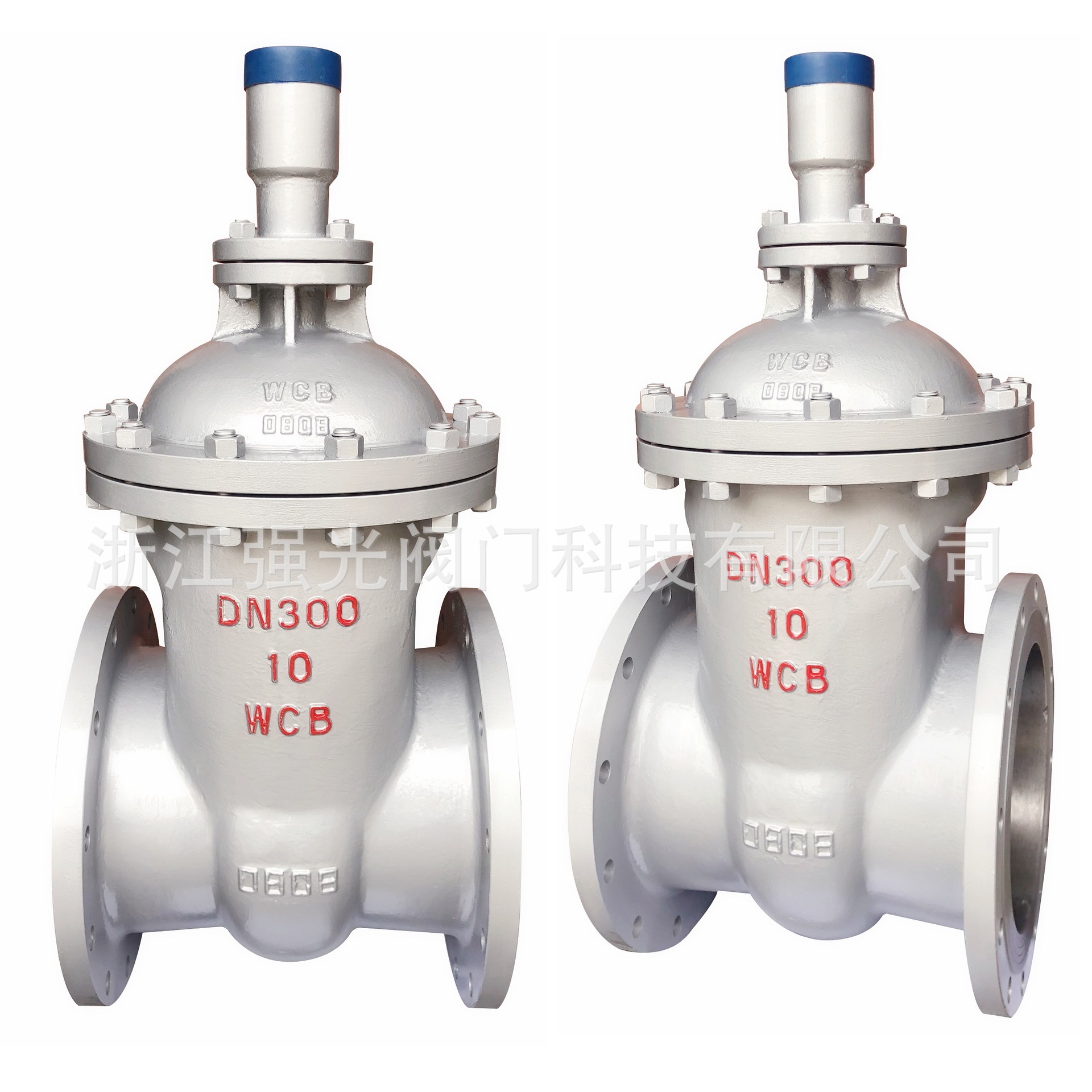 FDZ45H-10C,FDZ45Y-10C,铸钢碳钢，防盗法兰闸阀，防盗锁闭闸阀
