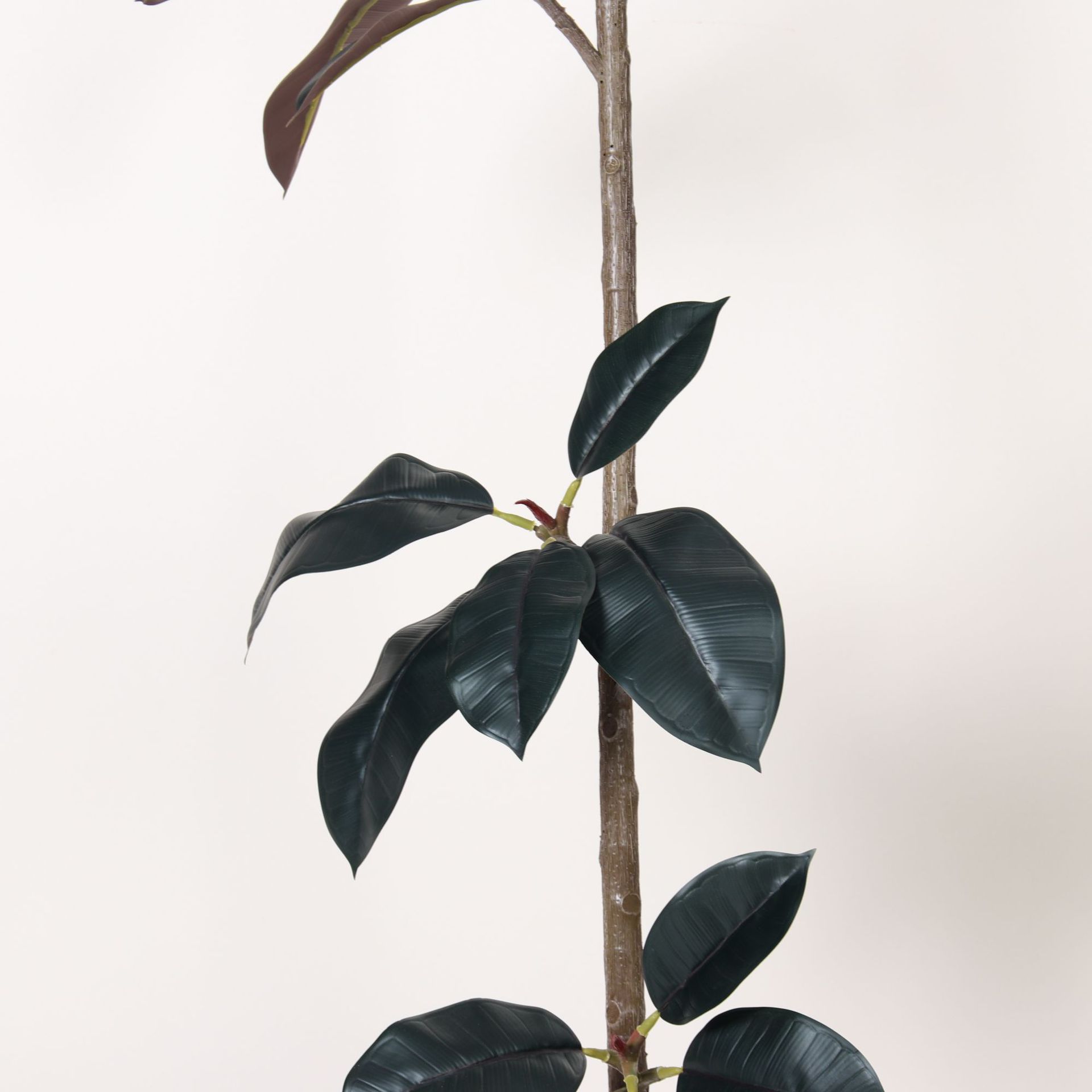 Simulación avanzada, plantas verdes, elegantes, árboles de caucho de diamante negro, árboles falsos, plantas en macetas, decoración de suelo interior, plantas biónicas