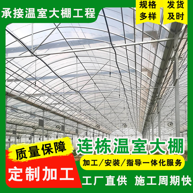 连栋大棚