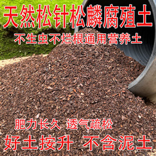 腐熟松针腐殖土松磷营养土家庭园艺多肉月季种花种菜通用腐叶土壤