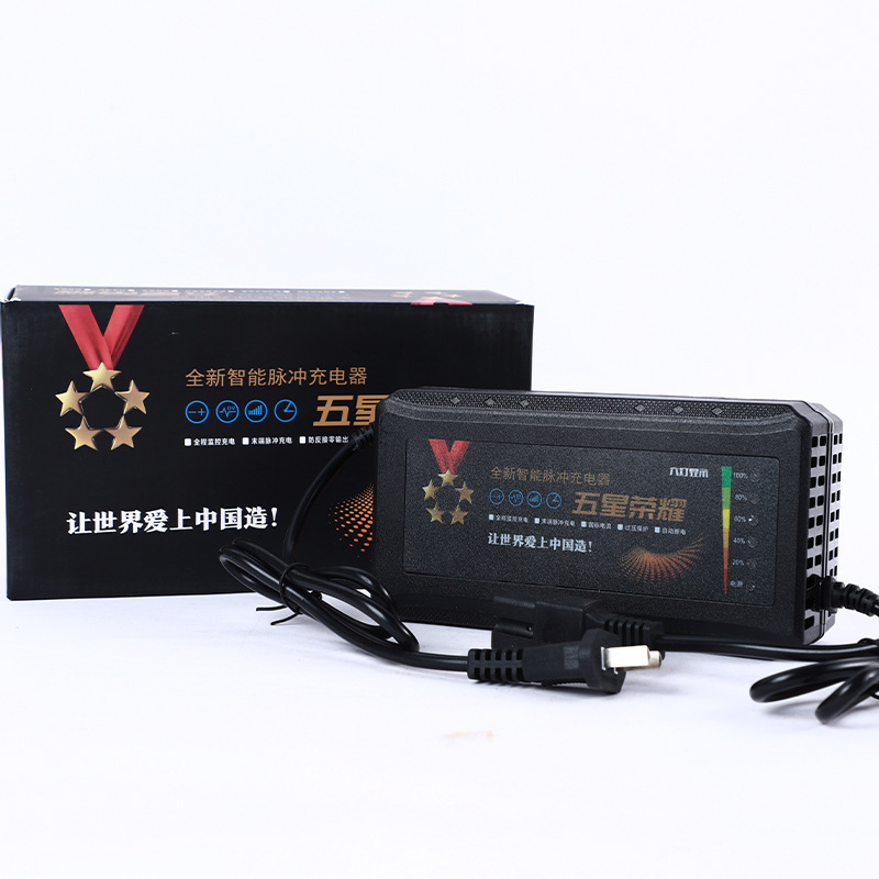 铅酸电池充电器五星荣耀 六灯显示电量 电瓶车24v48v60v72v充电器|undefined