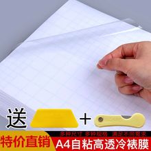 冷裱膜A4自粘透明照片保护塑封膜大头贴照6寸相片手工标本贴膜