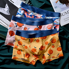 Illustrated Modal Cotton Men's Mid-rise Comfort Antibacterial Straight-leg Shorts for Teenage Boys with Cartoon Print, Wholesale