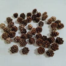 С�ɻ�΢���^�����ɹ��ɻ�С�ɹ��}�Q�b������С���~��1-2cm