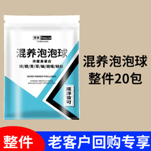 ���B����������20�����ڿӻ��B������~������   �Ͽ͑���