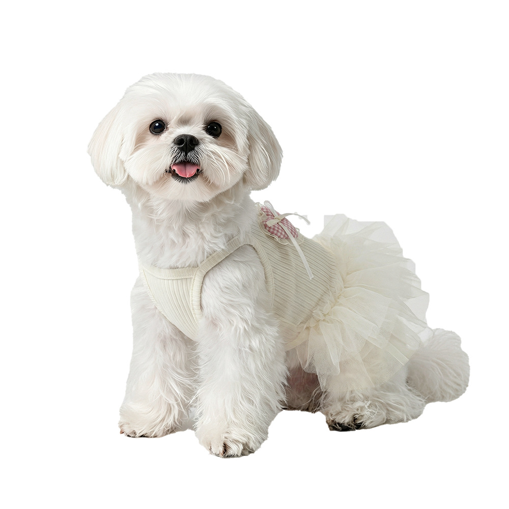 Vêtements d'été pour chiens, robe gilet fine en dentelle anti-mue pour chats, petits chiens à dégradé doré, Teddy, Bichon_voghion.com