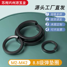 8.8���ߏ��ȏ��|���ɉ|Ȧ�|Ƭ�_�ډ|Ȧm2-m42�Ӻ��A˾����GB93